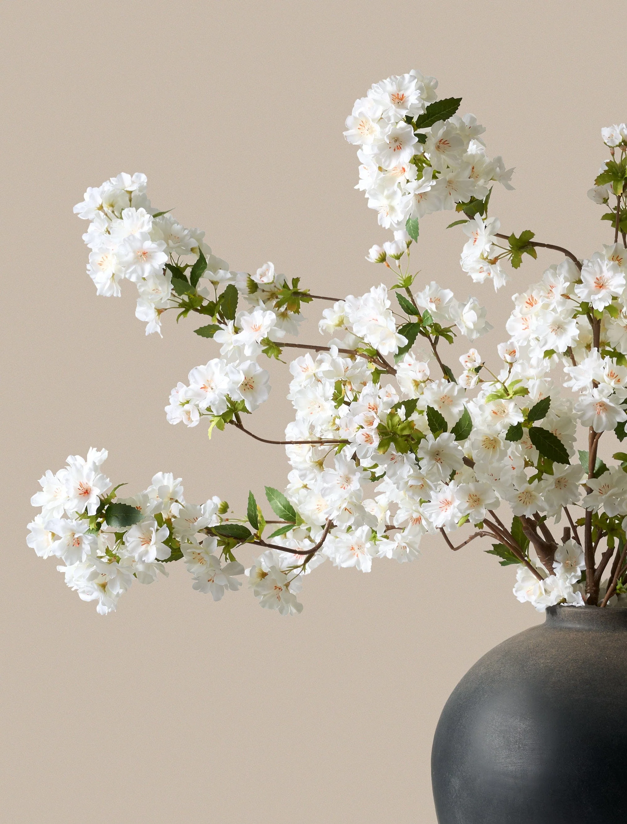 Faux Japanese Cherry Blossom - White (6 Stems) - Image 3
